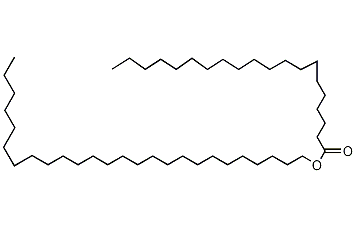 Hexacsanyl arachidate Structure