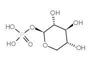 a-d-xylose 1-phosphate*di(monocyclohexylammonium) picture