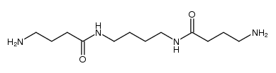 N,N'-bis(4-amino-1-oxobutyl)-1,4-butanediamine Structure