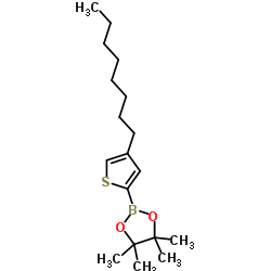 4-正辛基-2-(4,4,5,5-四甲基-1,3,2-二氧硼戊环-2-基)噻吩结构式