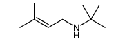 N-tert-butyl-3-methylbut-2-en-1-amine Structure