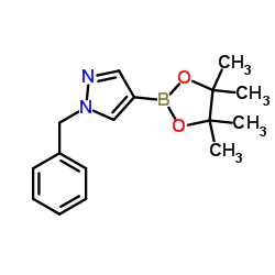 1-苄基-1H-吡唑-4-硼酸频哪醇酯图片