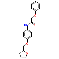 2-Phenoxy-N-[4-(tetrahydro-2-furanylmethoxy)phenyl]acetamide结构式