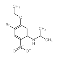 4-Bromo-5-ethoxy-N-isopropyl-2-nitroaniline Structure