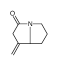 (8S)-1-methylidene-5,6,7,8-tetrahydropyrrolizin-3-one结构式