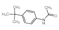 4'-(tert-butyl)acetanilide structure