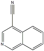 isoquinoline-4-carbonitrile结构式