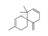 61661-43-6 structure