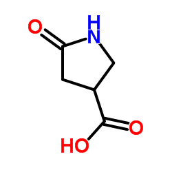 5-羰基吡咯烷-3-羧酸结构式