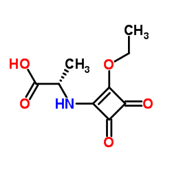 L-Alanine, N-(2-ethoxy-3,4-dioxo-1-cyclobuten-1-yl)- (9CI)结构式