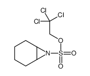 2,2,2-trichloroethyl 7-azabicyclo[4.1.0]heptane-7-sulfonate结构式