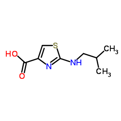 2-(Isobutylamino)-1,3-thiazole-4-carboxylic acid结构式