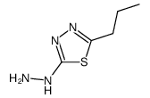 hydrazino-propyl-[1,3,4]thiadiazole Structure