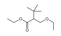 Ethyl 3-Ethoxy-2-Tert-Butylpropionate picture