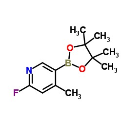 2-Fluoro-4-Methylpyridine-5-boronic acid pinacol ester Structure
