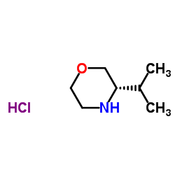 (S)-3-异丙基吗啉盐酸盐结构式