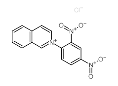 2-(2,4-Bis(hydroxy(oxido)amino)phenyl)-2.lambda.~5~-isoquinoline structure