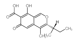 ASCOCHITINE picture