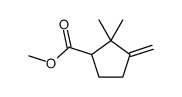 methyl 2,2-dimethyl-3-methylidenecyclopentane-1-carboxylate Structure