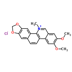 Nitidine structure