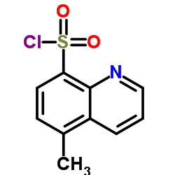 5-甲基-8-喹喔啉磺酰氯结构式
