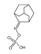 ((adamantan-2-ylideneamino)oxy)sulfonic acid结构式