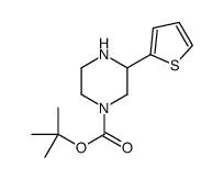 tert-Butyl 3-(thien-2-yl)piperazine-1-carboxylate, 1-(tert-Butoxycarbonyl)-3-(thien-2-yl)piperazine picture