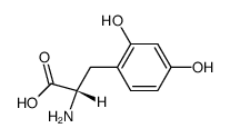 2,4-dihydroxy-L-phenylalanine Structure