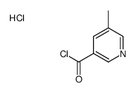 5-methylpyridine-3-carbonyl chloride,hydrochloride Structure