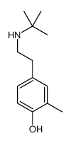 4-叔丁基氨基乙基-2-甲基苯酚结构式