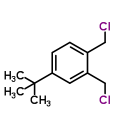 1,​2-​bis(chloromethyl)​-​4-​(1,​1-​dimethylethyl)​- Benzene structure