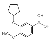 (3-(CYCLOPENTYLOXY)-4-METHOXYPHENYL)BORONIC ACID picture