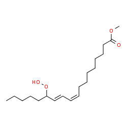 methyl linoleate hydroperoxide结构式