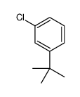 1-tert-butyl-3-chlorobenzene Structure