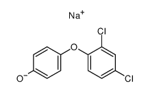 1,3-Di-tert-butoxynaphthalin Structure