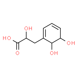 1,3-Cyclohexadiene-1-propanoic acid, alpha,5,6-trihydroxy- (9CI)结构式