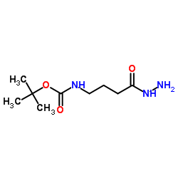 2-Methyl-2-propanyl (4-hydrazino-4-oxobutyl)carbamate结构式