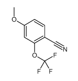 2-三氟甲氧基-4-甲氧基苯腈图片