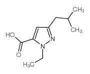 1-乙基-3-(2-甲基丙基)-1H-吡唑-5-羧酸图片