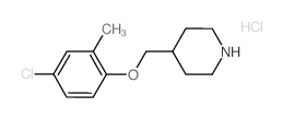 4-Chloro-2-methylphenyl 4-piperidinylmethyl ether hydrochloride Structure