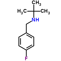 N-(4-Fluorobenzyl)-2-methyl-2-propanamine结构式