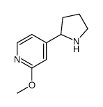 2-methoxy-4-pyrrolidin-2-ylpyridine结构式