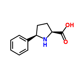 (2s,5r)-5-phenylpyrrolidine-2-carboxylic acid structure