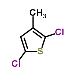 2,5-二氯-3-甲基噻吩图片