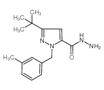 3-(TERT-BUTYL)-1-(3-METHYLBENZYL)-1H-PYRAZOLE-5-CARBOHYDRAZIDE Structure
