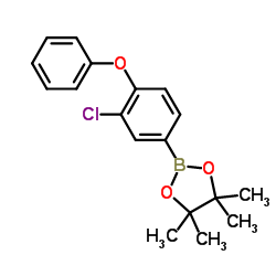 2-(3-Chloro-4-phenoxyphenyl)-4,4,5,5-tetramethyl-1,3,2-dioxaborolane结构式