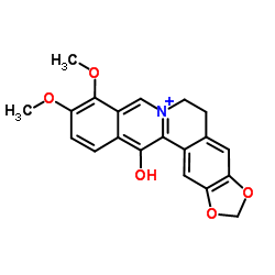 Benzo[g]-1,3-benzodioxolo[5,6-a]quinolizinium,5,6-dihydro-13-hydroxy-9,10-dimethoxy- structure