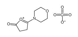 5-morpholin-4-ium-4-ylideneoxolan-2-one,perchlorate Structure