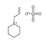1-prop-2-enylthian-1-ium,perchlorate Structure