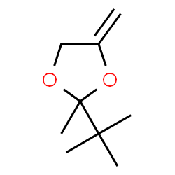 1,3-Dioxolane,2-(1,1-dimethylethyl)-2-methyl-4-methylene-结构式